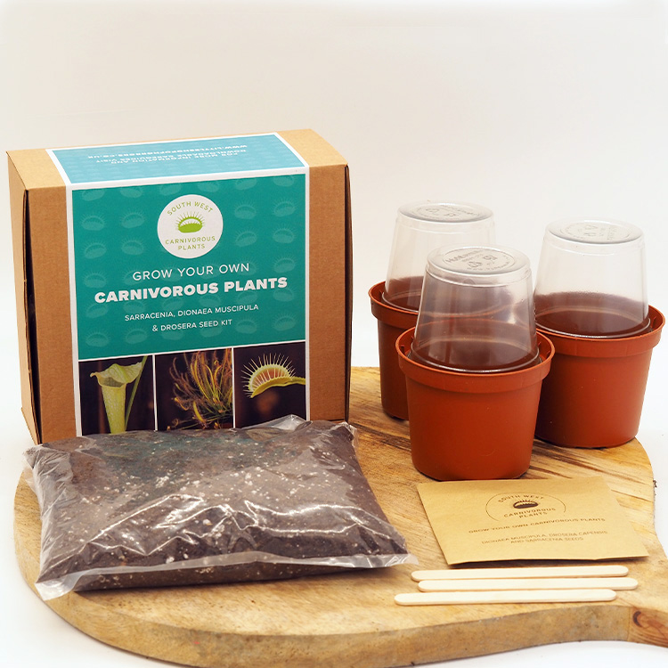 Mixed Carnivorous Plant Seed Kit XL
