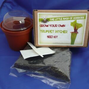 Boxed Trumpet Pitcher Seed Kit