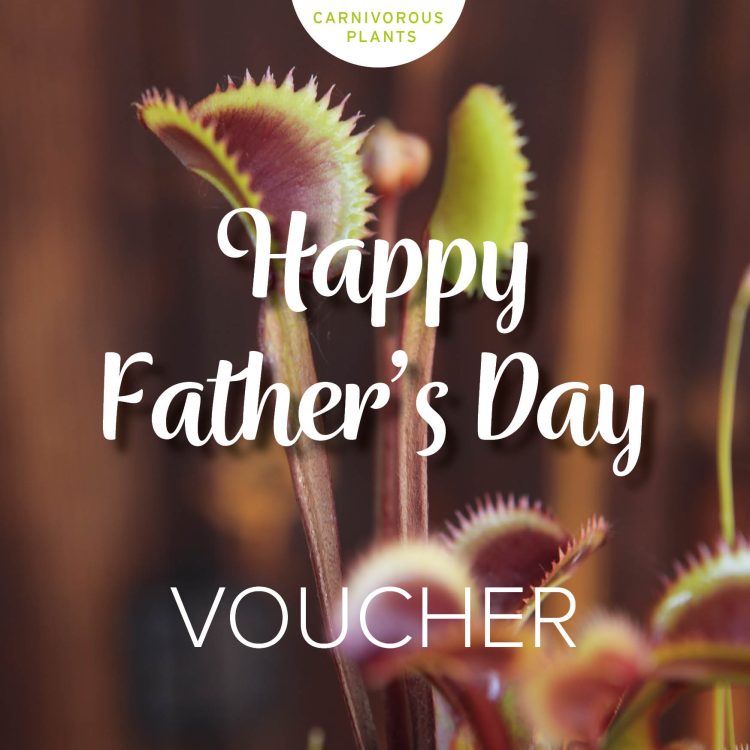Gift Voucher Father's Day