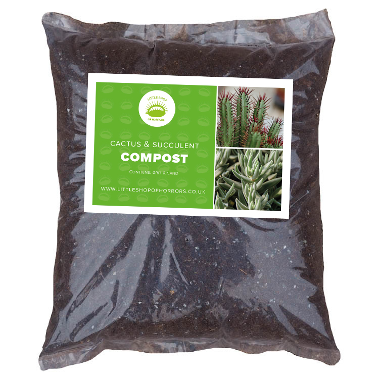 Cactus & Succulent Compost
